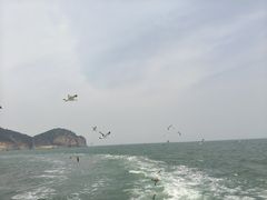 -崂山仰口游览区