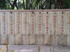 -映月湖公园