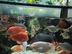 -太平洋海底世界