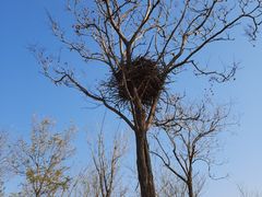 -天津东丽湖风景区