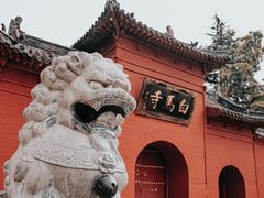 -洛阳白马寺