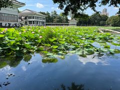 -荔湾湖公园