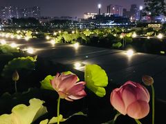 -無邪(东部银泰城店)