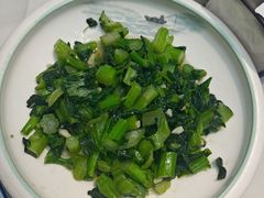 -小小饭店·休闲农庄·安吉松树林里的农家菜