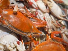 -蓝珊甄选海鲜自助·火锅大排档(近阿那亚店)