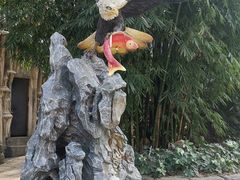 -贵州森林野生动物园