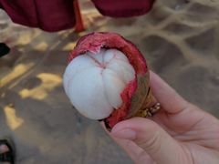 -库塔海滩