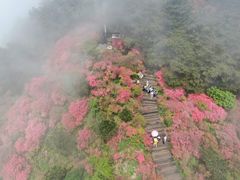 -木兰云雾山