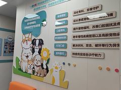 -咕噜咕噜宠物医院·CT·肿瘤科·骨科(前海院)