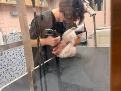 -FAELING PETS美天灵宠物(富力广场店)