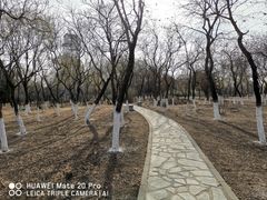 -绿堤公园