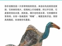 -瑞丁熊原版阅读(大华校区)