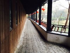 -定园