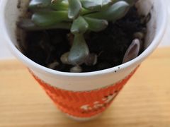 -都可手作(学士街手作店)