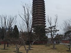 -西海子公园