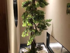 -觅唐MITONG(鸟巢店)