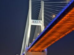 -黄浦江游览快线(金陵东路码头)