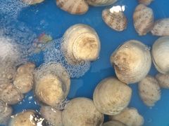 -顺峰渔港中国人的餐厅