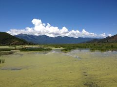 -泸沽湖国家级风景名胜区走婚桥