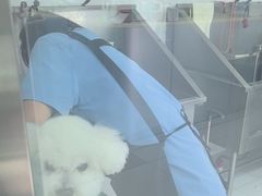 -利又安动物医院··老年病·猫科犬科·中兽医