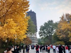 -玲珑塔公园