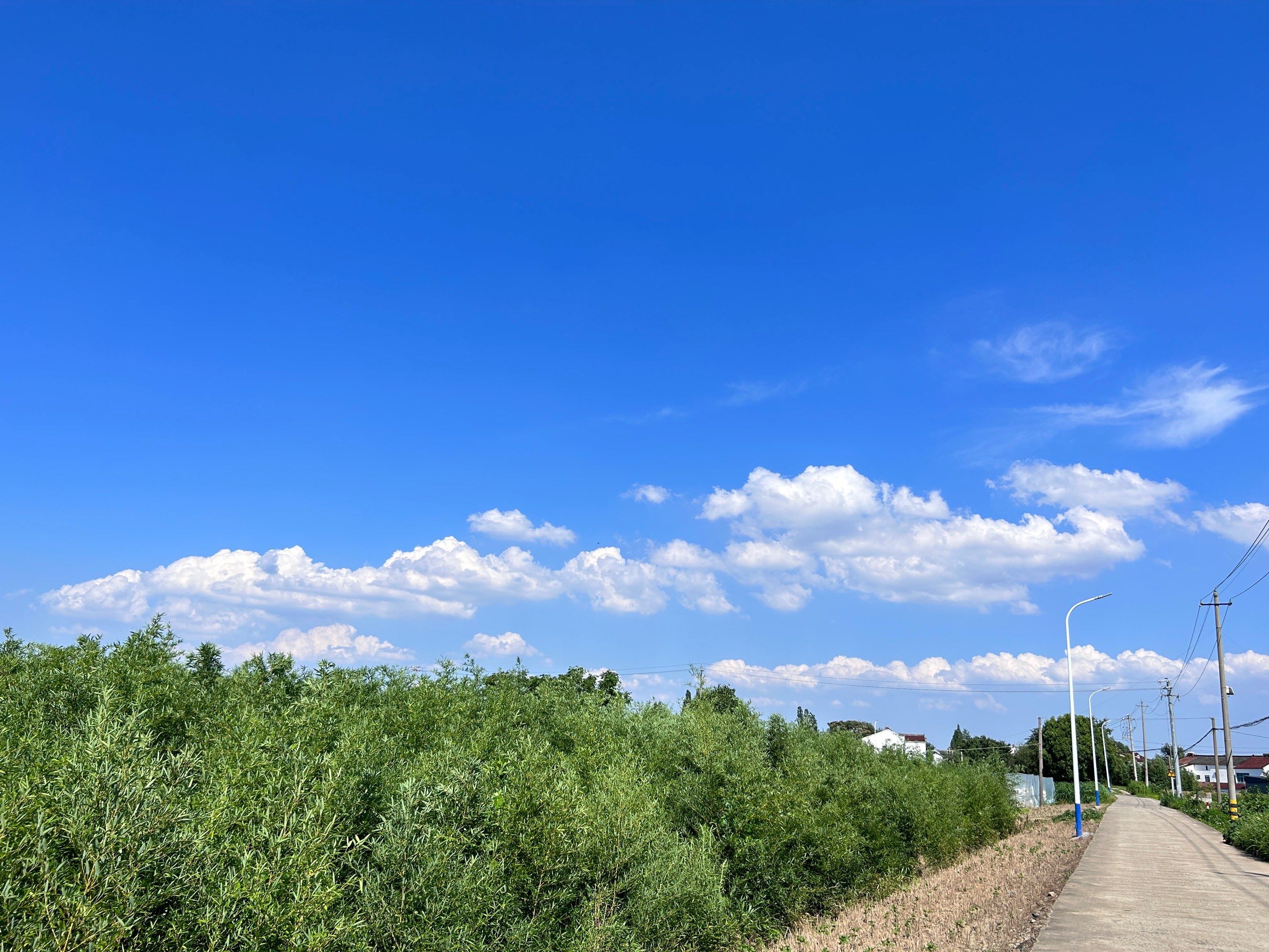 村上的云咋这么好看呢