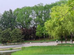 -大望京公园