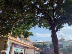 -瑞丽口岸免税店