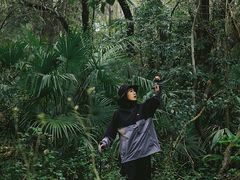 -青龙山国家森林公园
