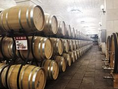 -北京张裕爱斐堡酒庄