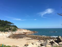 -广东惠东海龟国家级自然保护区