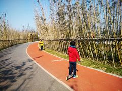 -上海长兴岛郊野公园