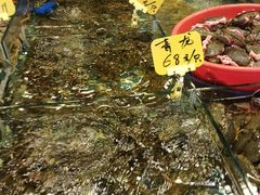 -厦门轮渡码头