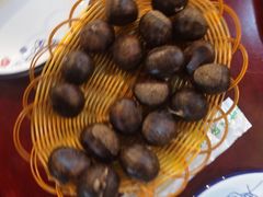 -蘑统田下·野生菌火锅