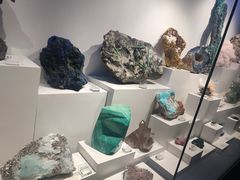 -重庆自然博物馆(新馆)