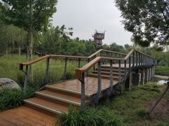 -东郊湿地公园