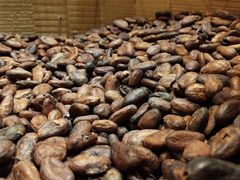 -歌斐颂巧克力小镇