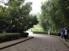 -邓小平故里