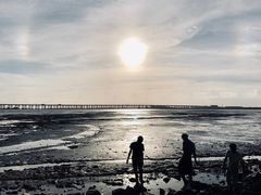 -宝安西湾红树林湿地公园