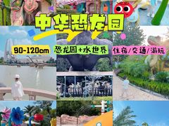 -中华恐龙园