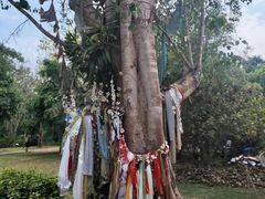 -中国科学院西双版纳热带植物园