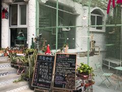 -有猫主题·治愈系猫咖(曾厝垵店)