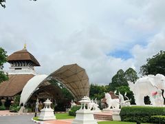 -清迈夜间动物园