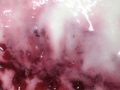 覆盆子果酱酸奶-半山腰·云南菜(侨福芳草地店)