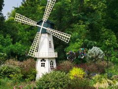 -上海共青森林公园