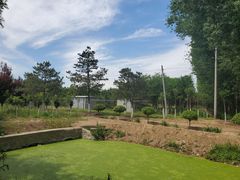 -东郊湿地公园