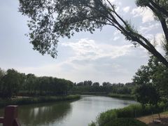 -大兴滨河森林公园