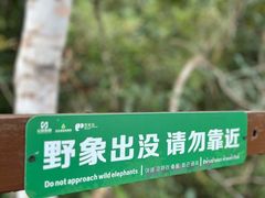 -野象谷景区