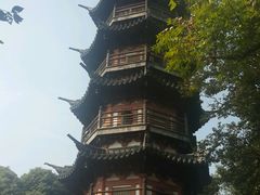 -上海佘山国家森林公园西佘山园