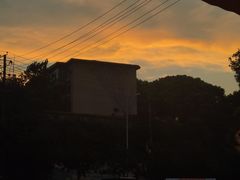 -小吴先生的店·东北烧烤(林科大店)